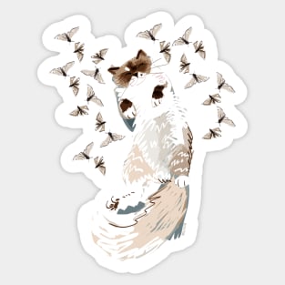 Siamese Persian Ragdoll sleepy Cat Sticker